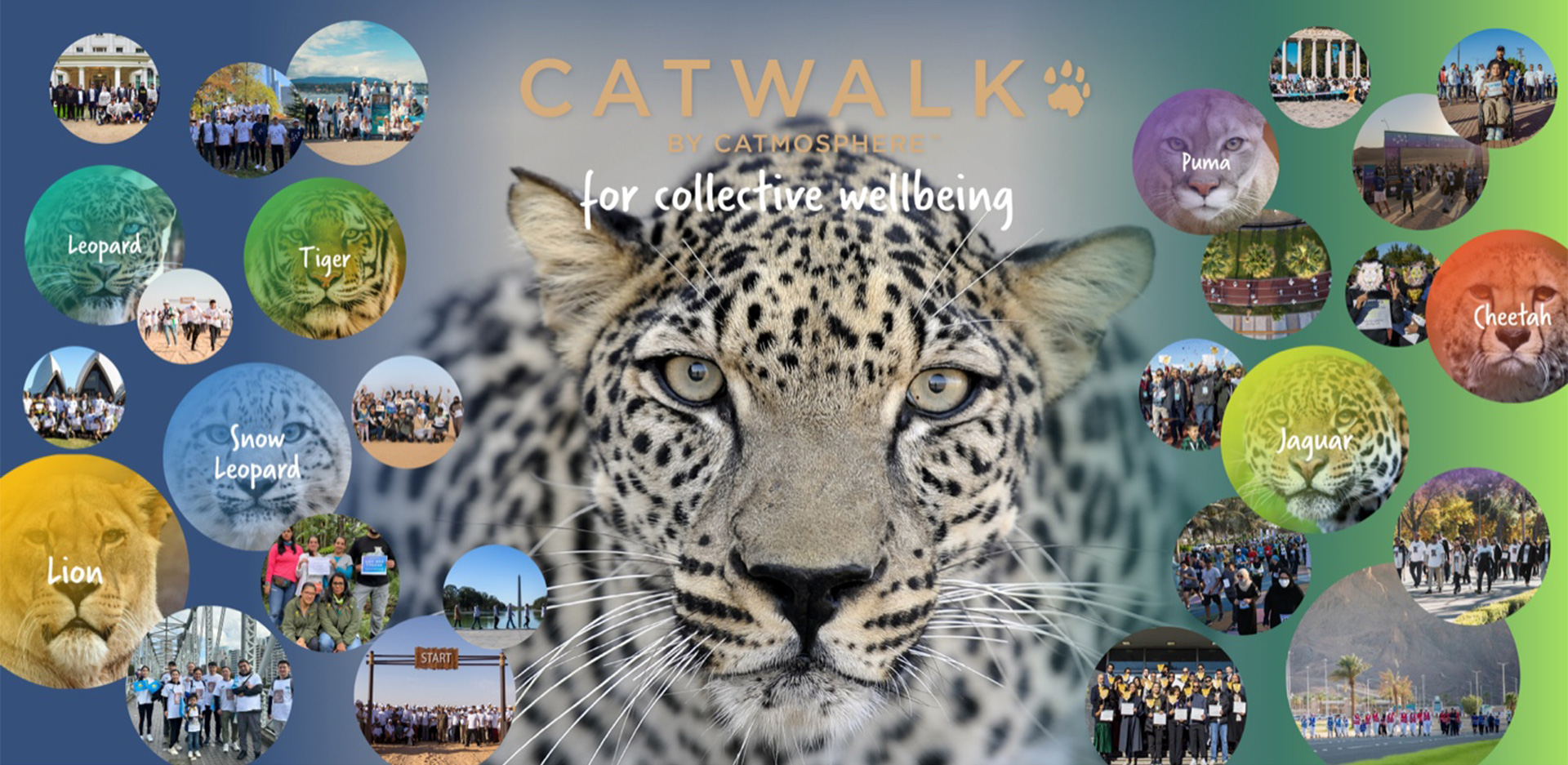 "Collage of Arabian Leopard, Other Big Cats, and People"