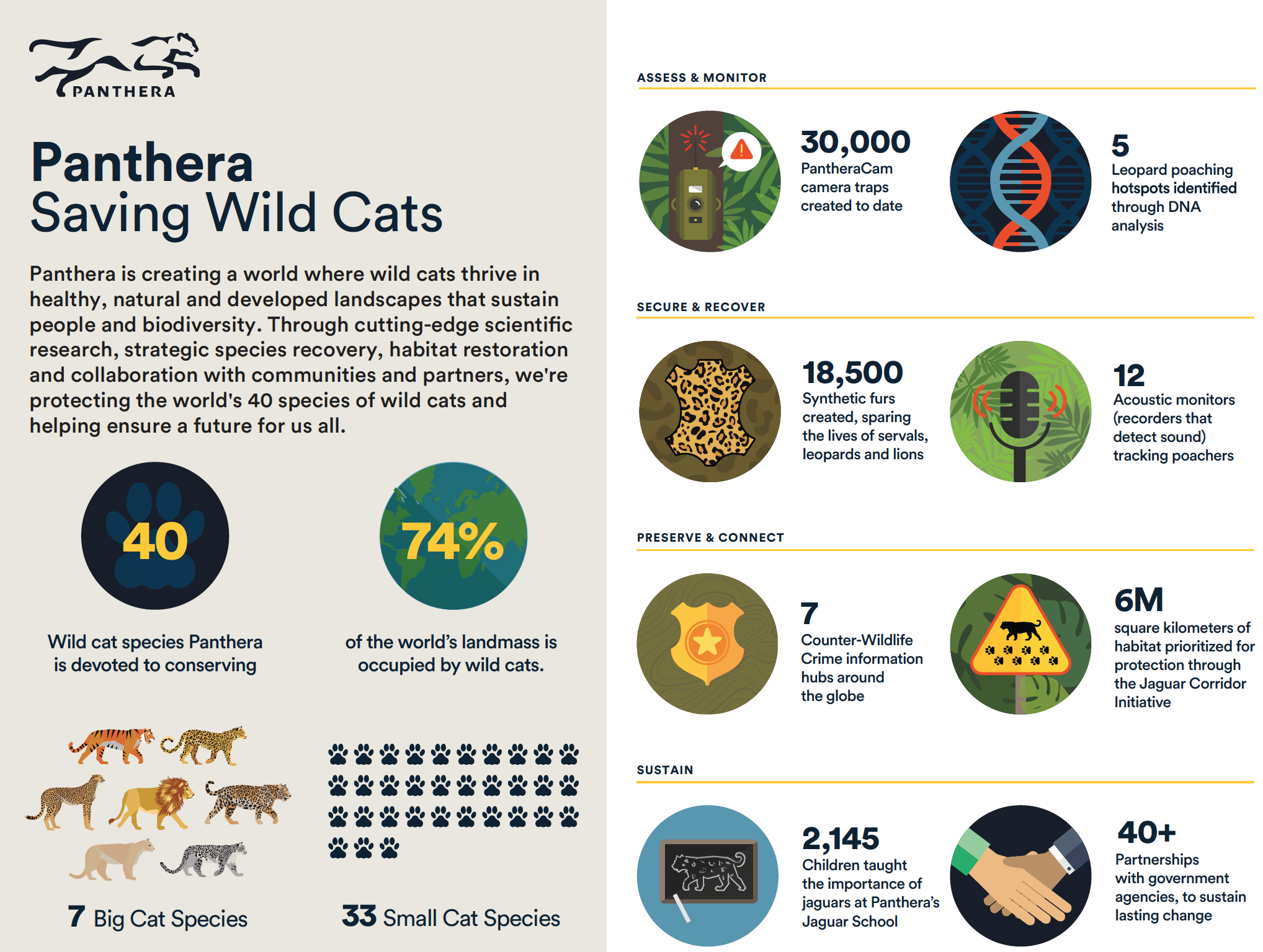 Panthera At-A-Glance Infographic