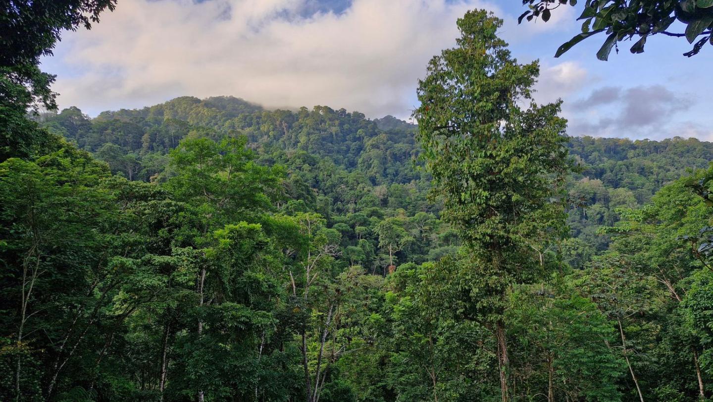 Landscape view of Izabal, Guatemala