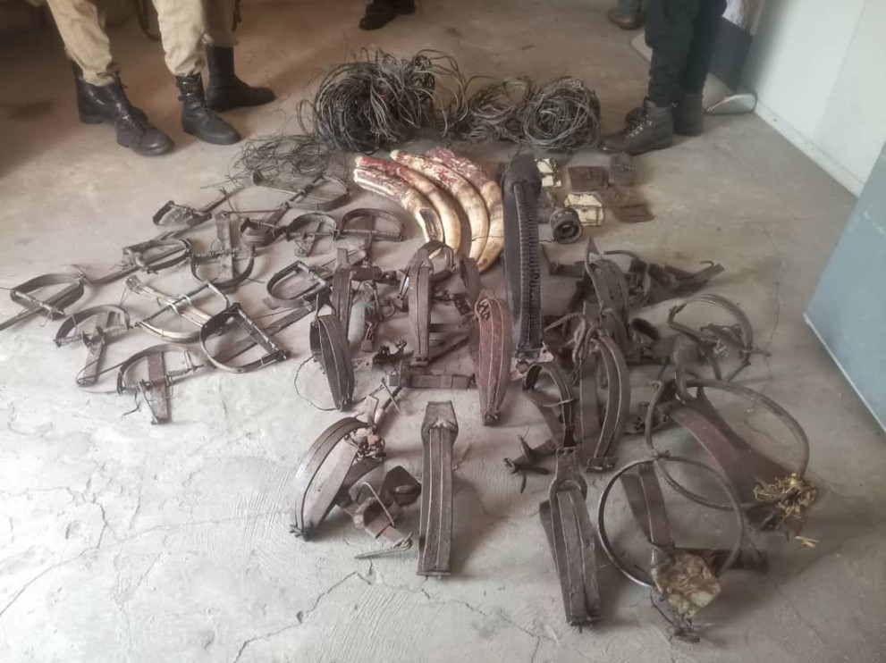 Confiscated poaching equipment