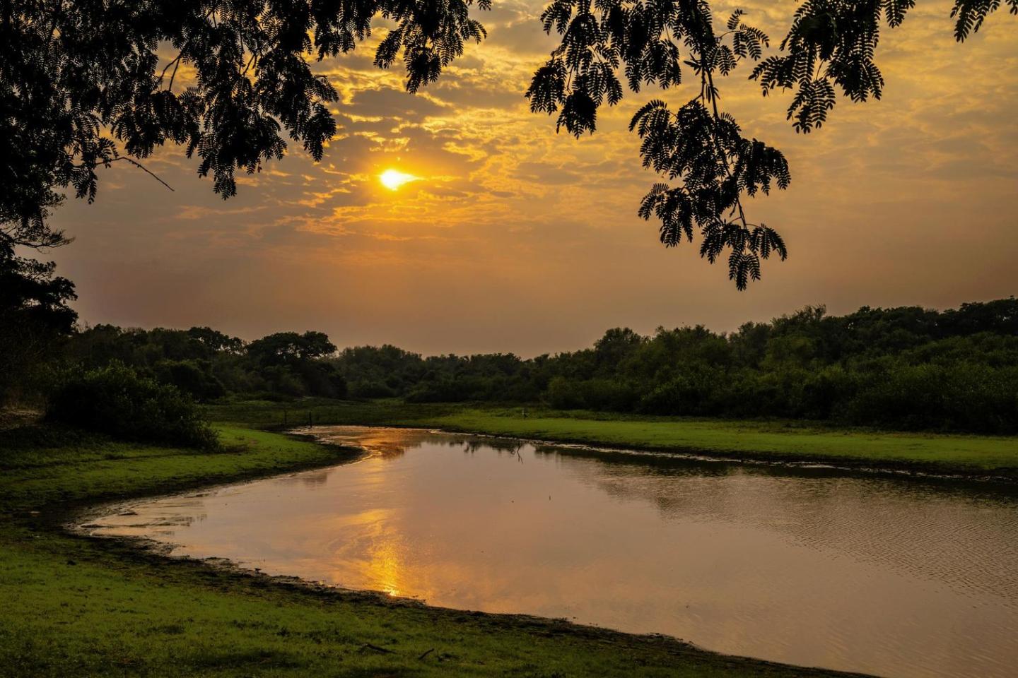 Sunrise over a lagoon in Brazil