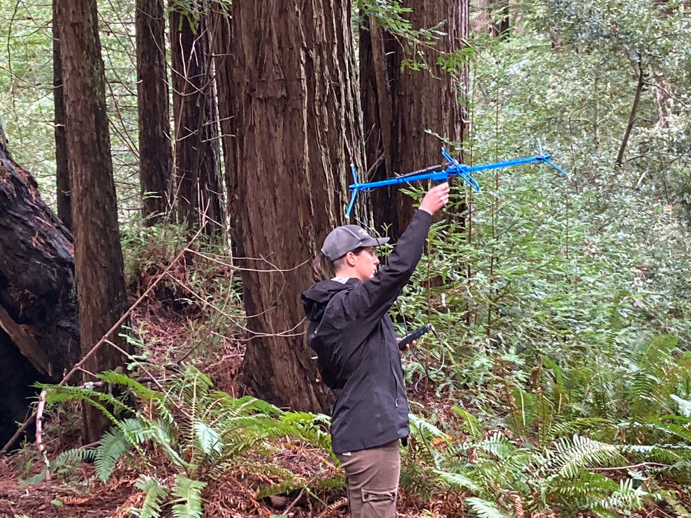 Jessup looking for signs of pumas.