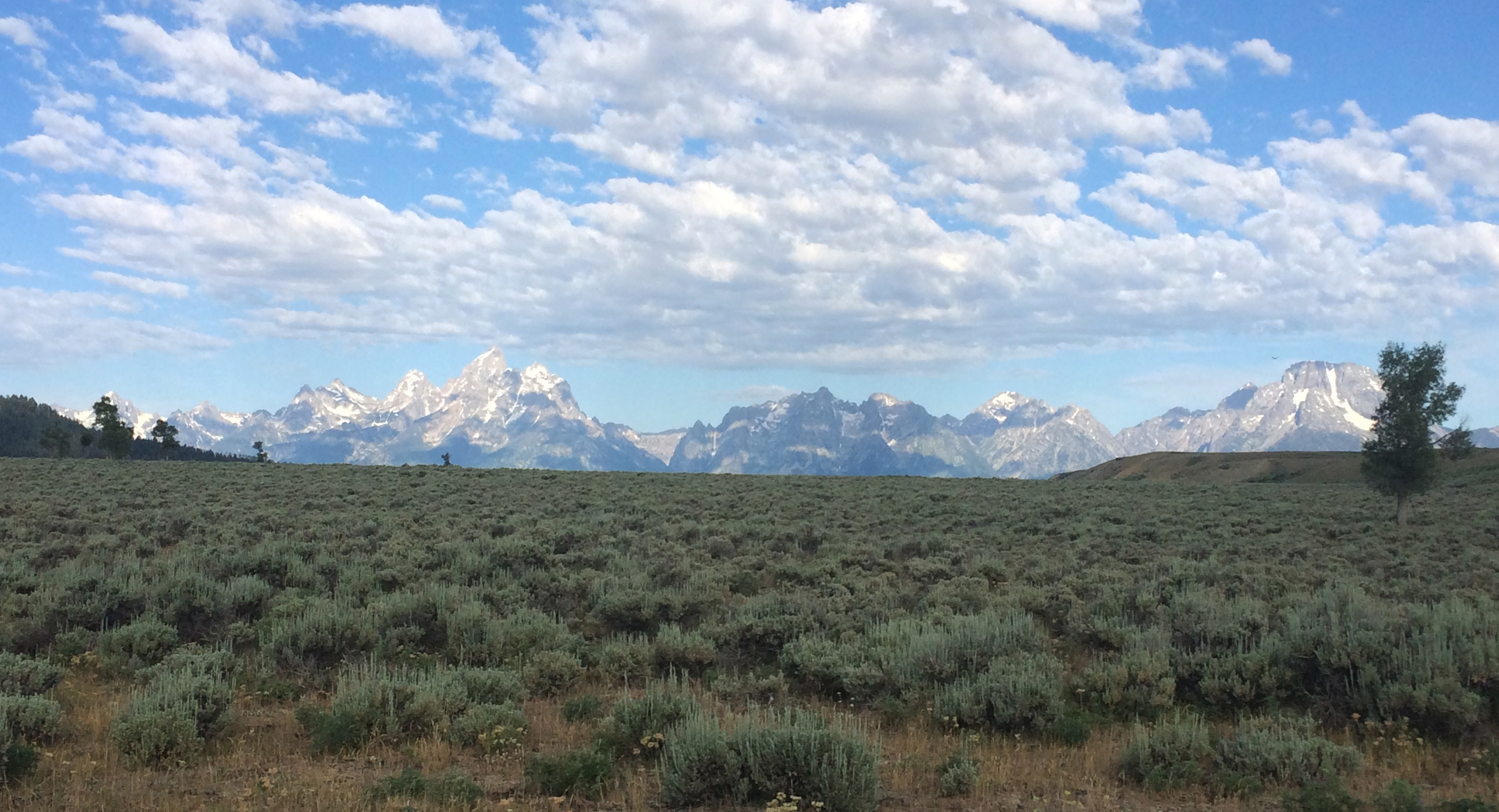 Tetons 2