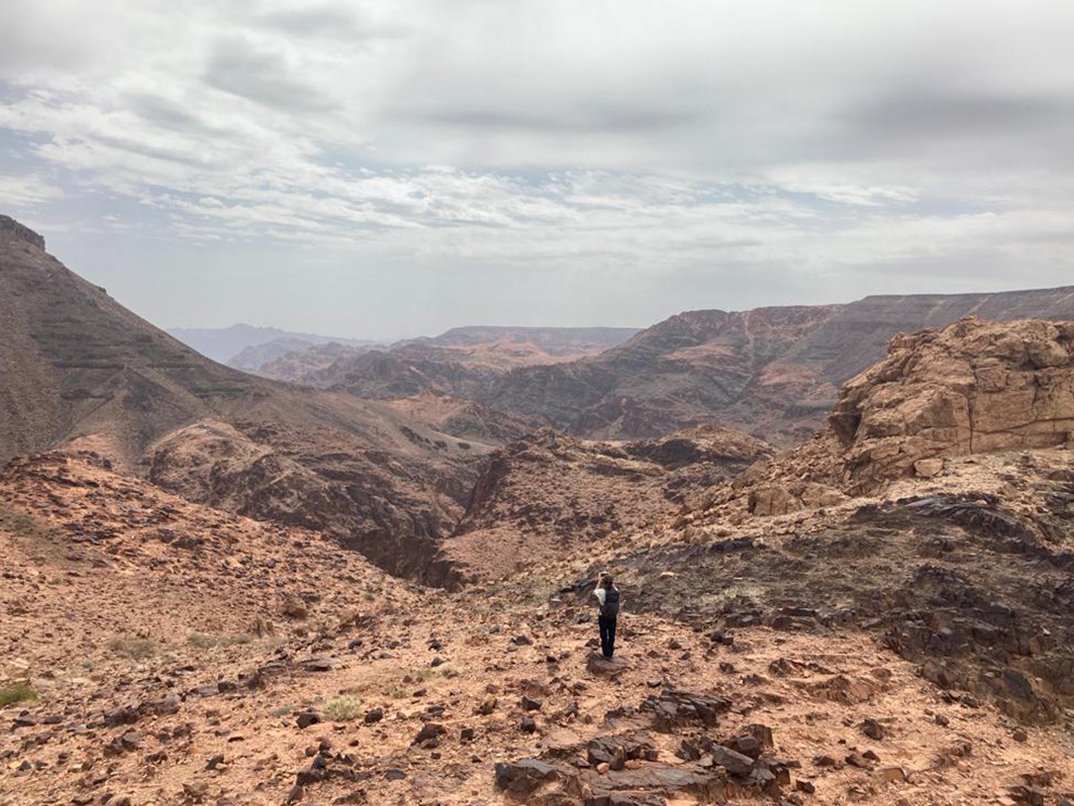 Saudi Arabia Landscape