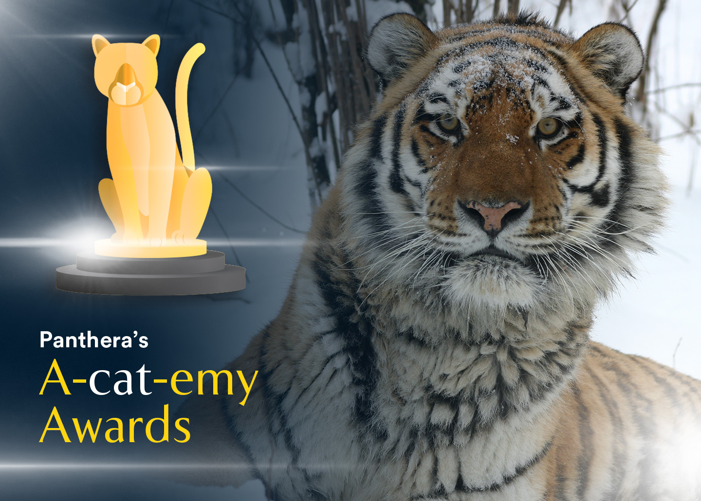 Acatemy Awards Siberian tiger