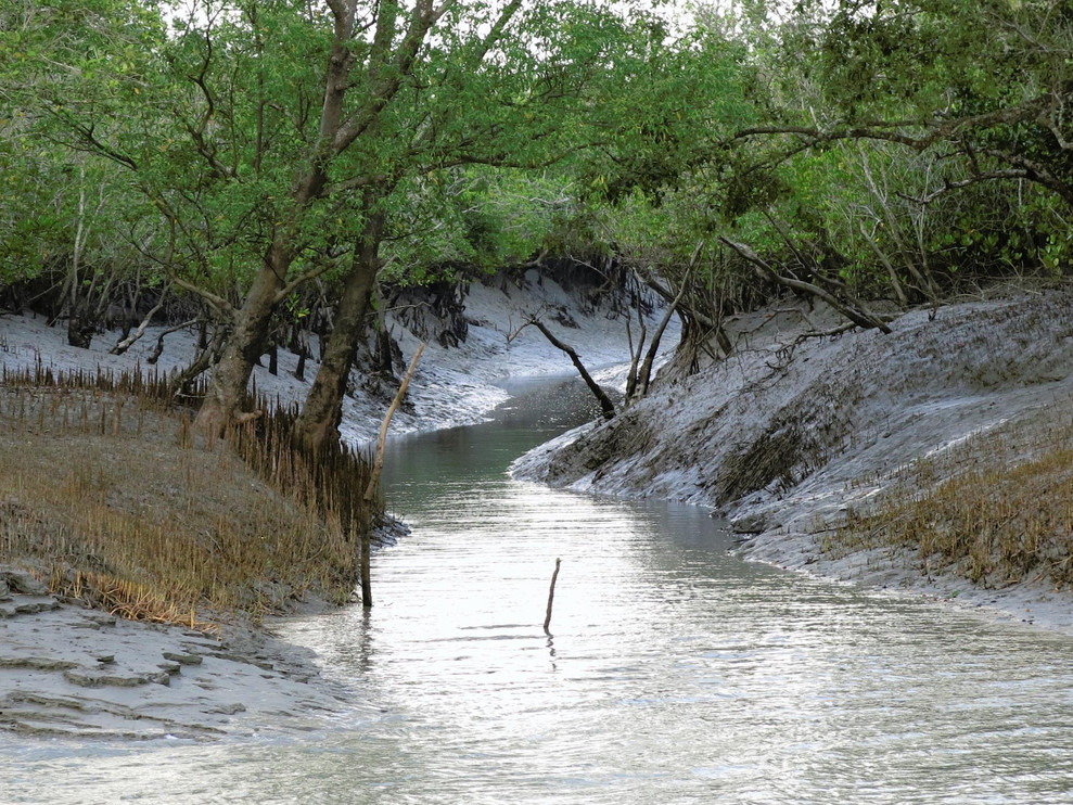Sundarbans waterway