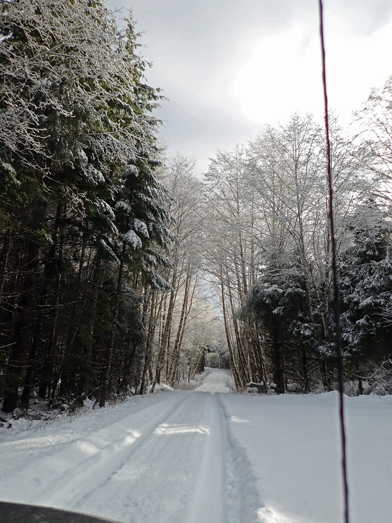 Snowy road