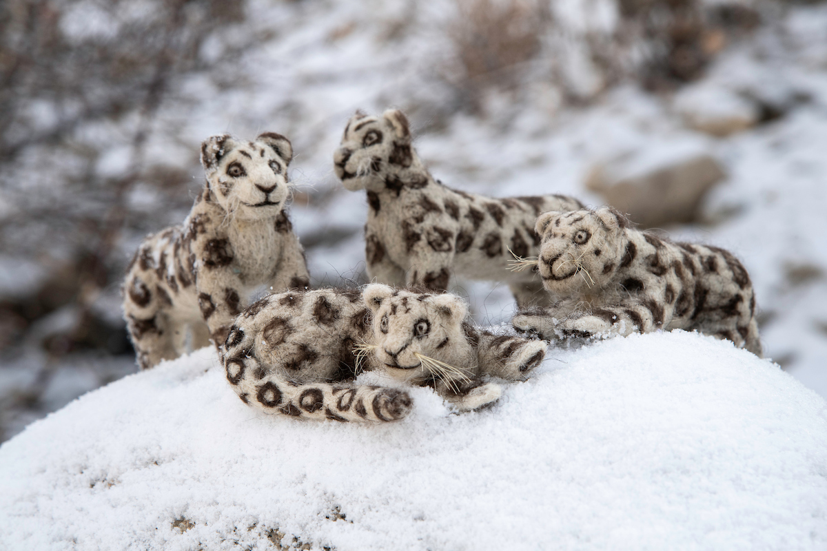Snow leopard toys