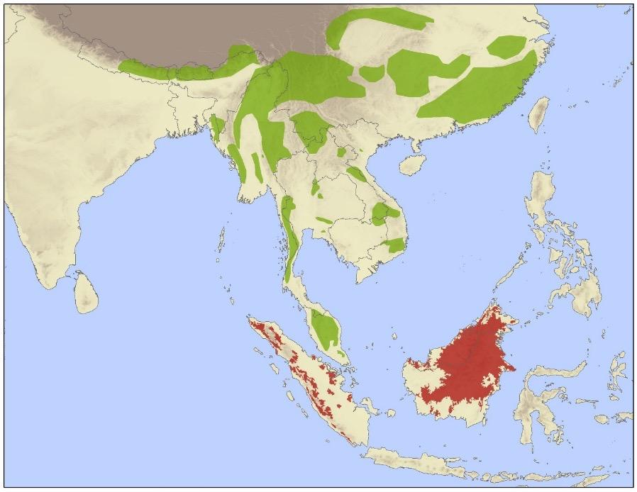 Clouded leopard range map