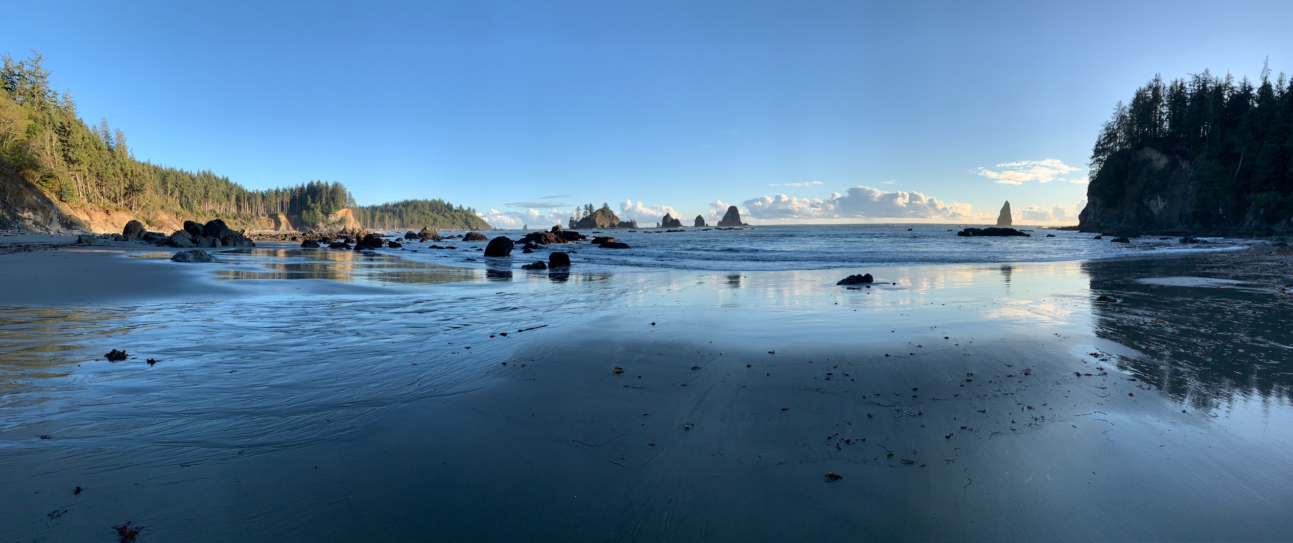 Panoramic shot of Olympic Coast South Trail.