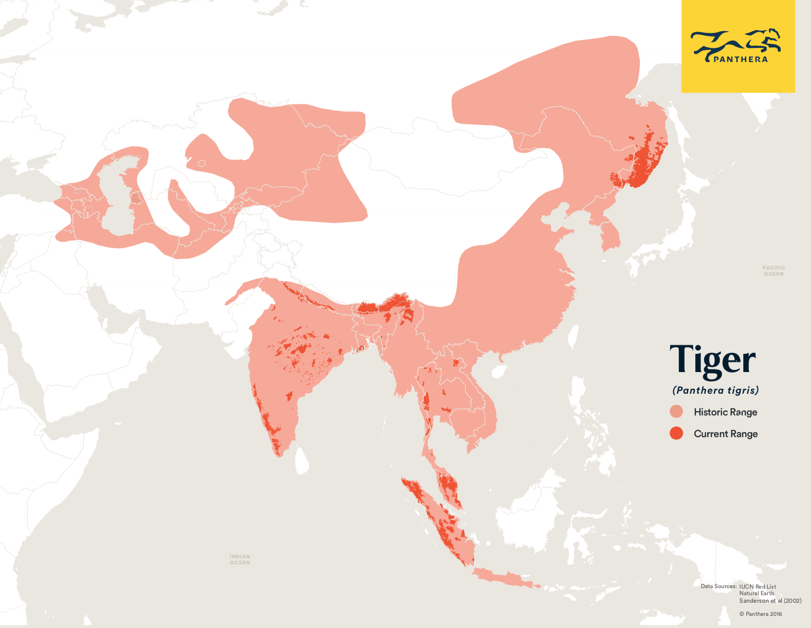 Tiger map.