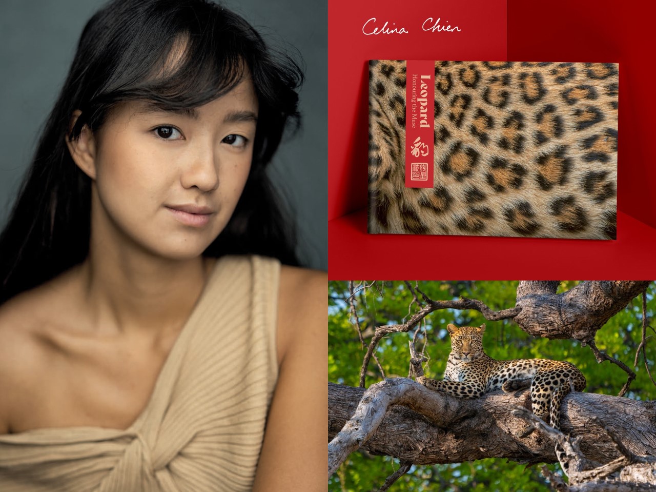 Celina Chien and leopards
