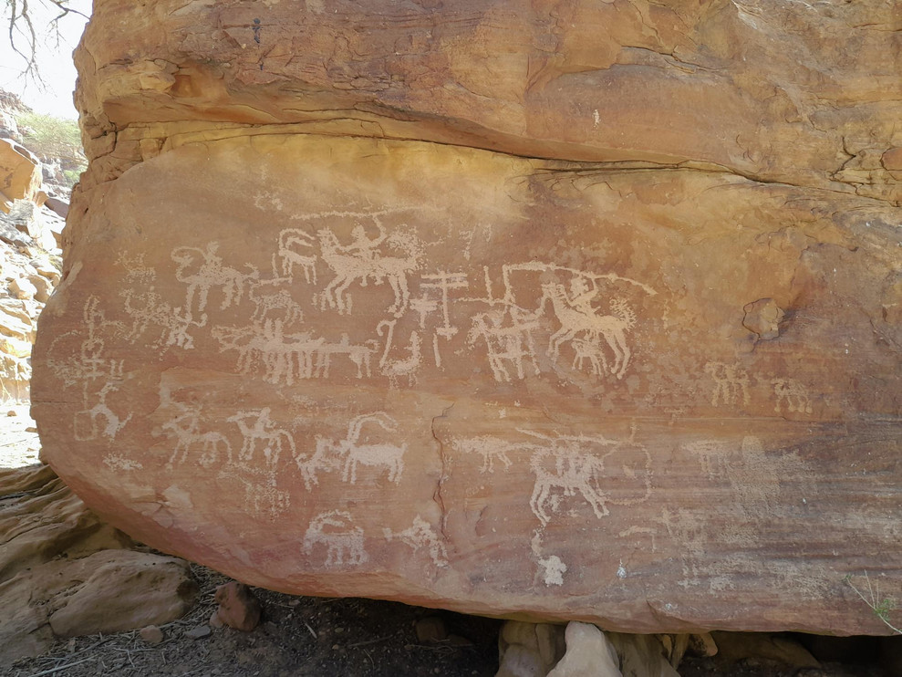 Petroglyphs depicting humans and wildlife in Saudi Arabia.