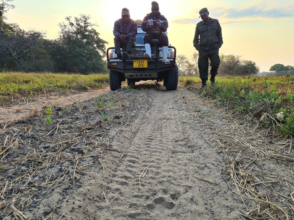 Field staff sit on a jeep in Tanzania