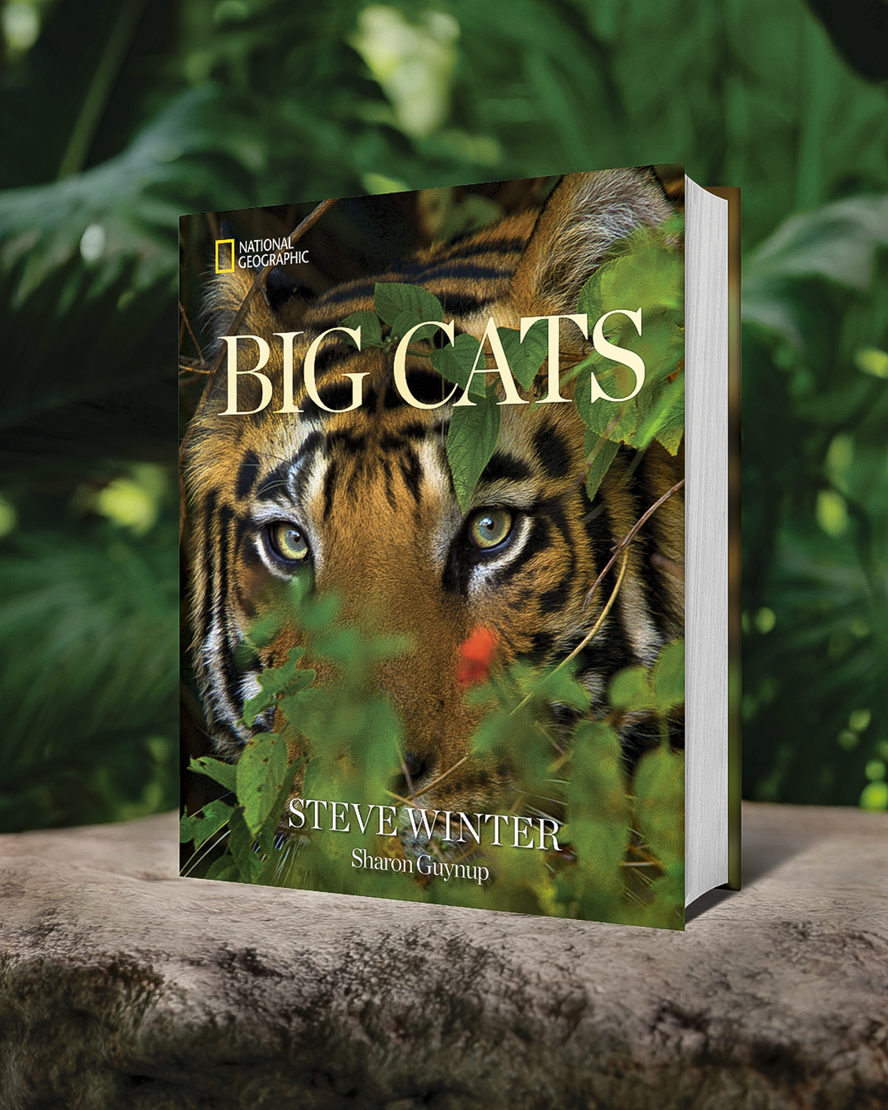 Big Cats book by Steve Winter and Sharon Guynup