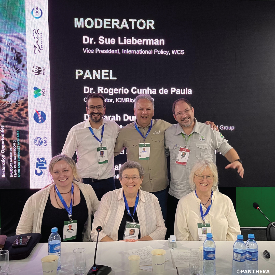 People at a conference