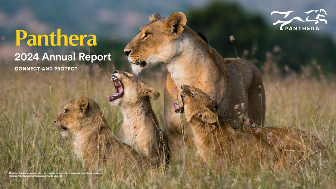 Read our latest Annual Report