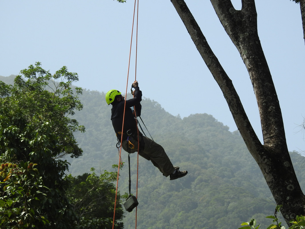 Panthera staff deploy acoustic monitors that detect gunshots and help identify safe release locations.