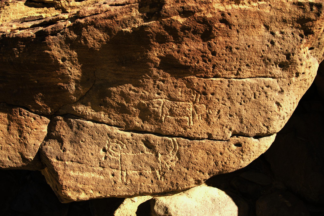 Rock art showing a leopard