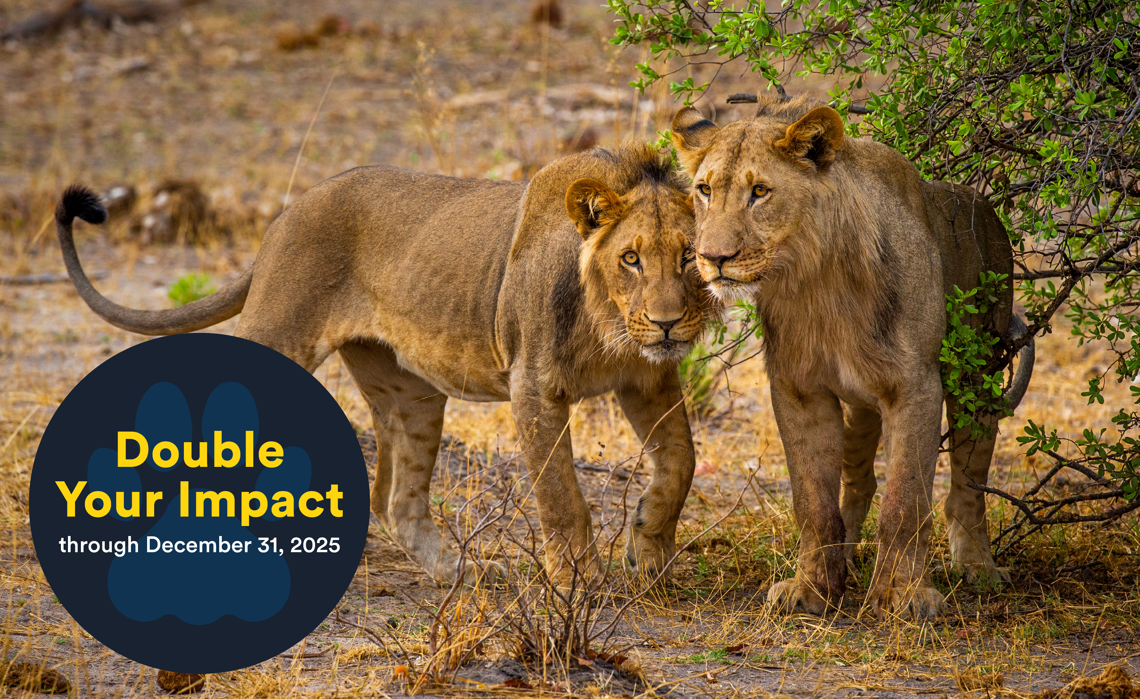 Sebastian Kennerknecht