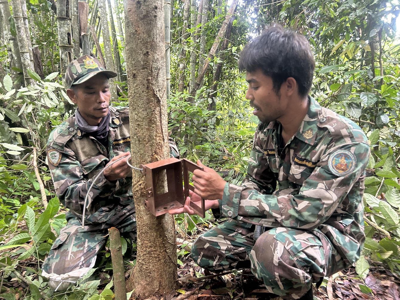 Setting up a camera trap