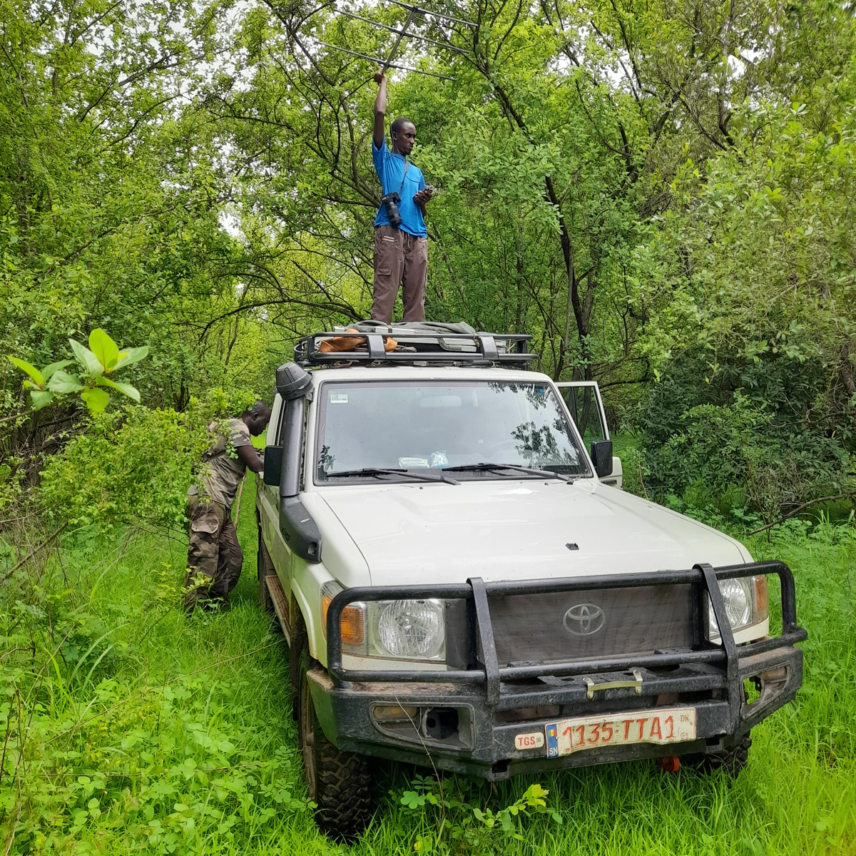 Technical Assistant Standing on Landcruiser Roof with Antenna
