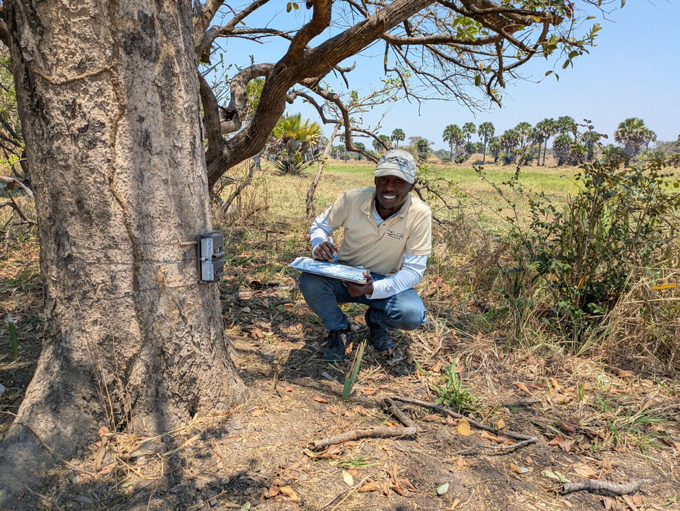 Man squats next to a camera trap
