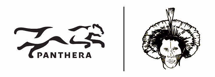 Panthera | Kayapo