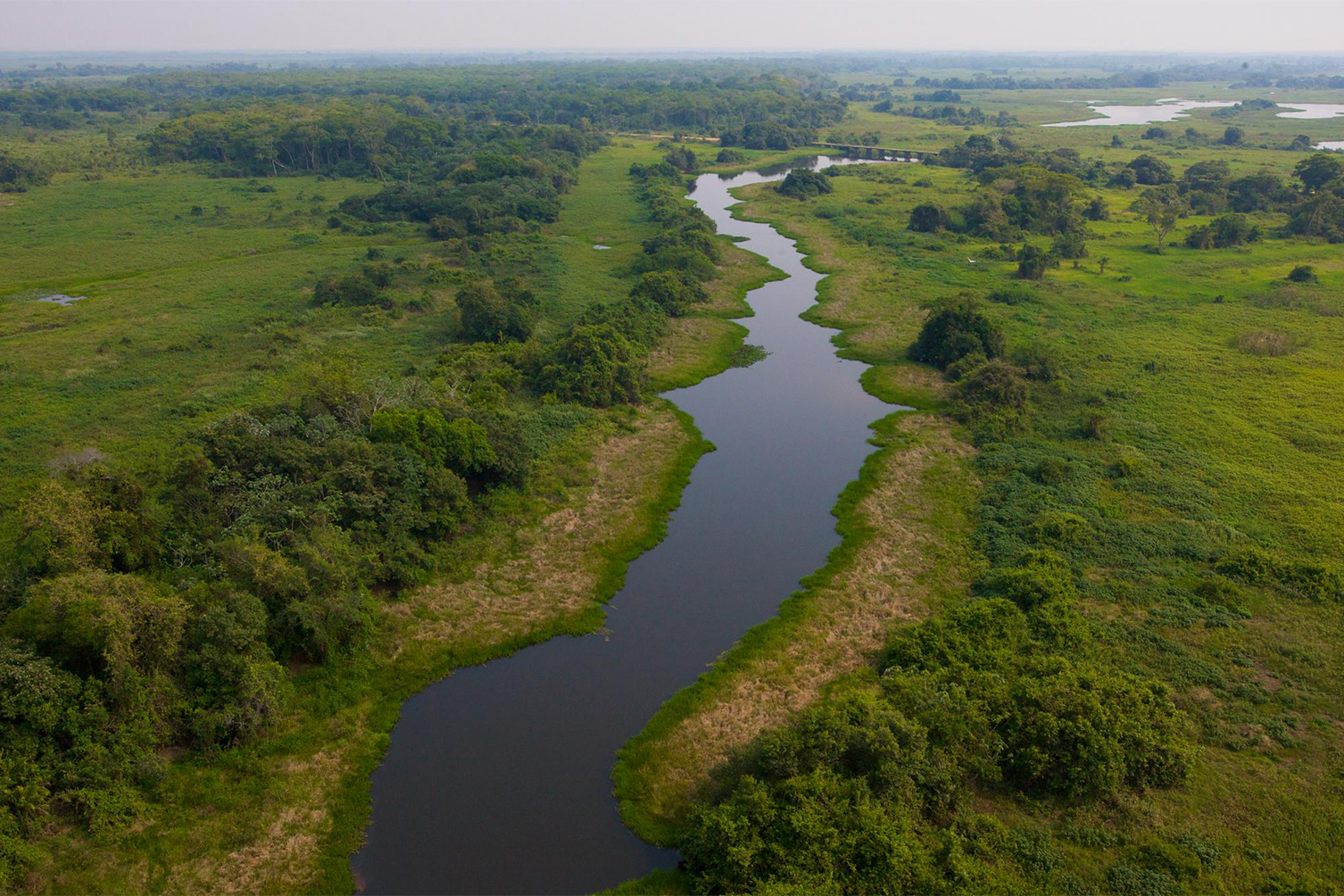 Landscape of the Pantanal