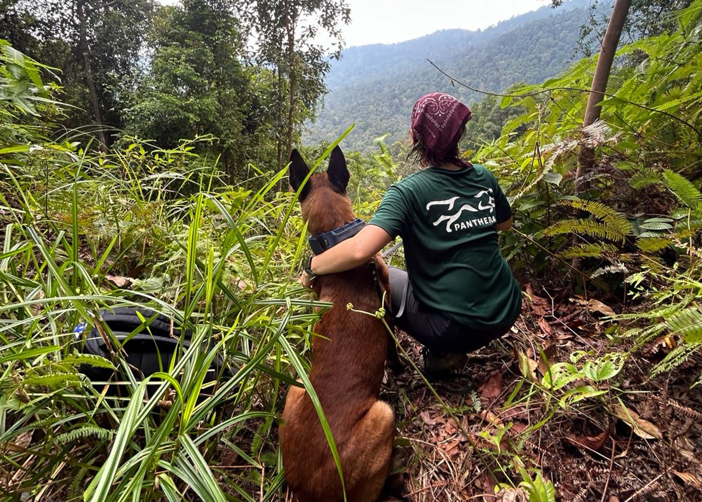 Woman with dog looking at forest