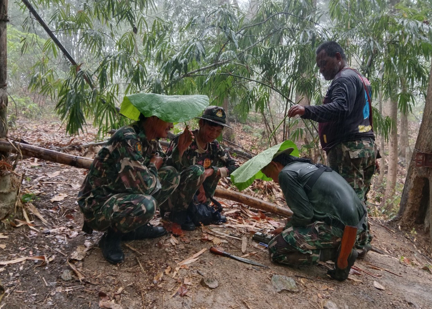 Rangers in the forest using large leaves to protect themselves from the rain