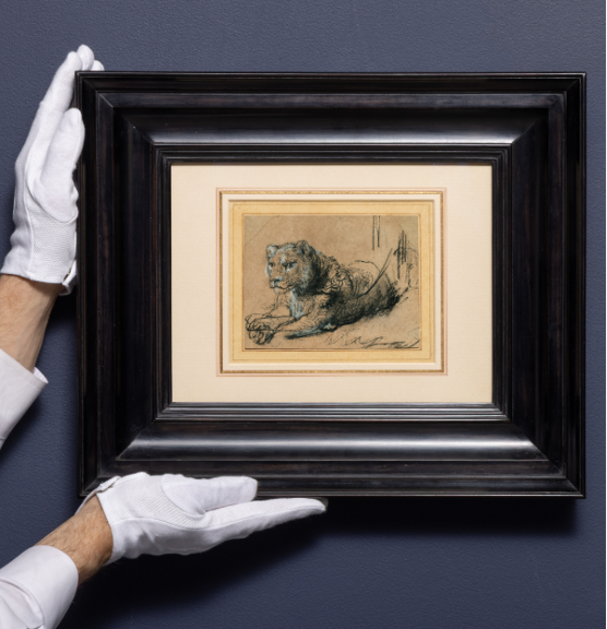 REMBRANDT HARMENSZ. VAN RIJN, YOUNG LION RESTING, CA. 1638–42, BLACK CHALK WITH WHITE CHALK HEIGHTENING AND GREY WASH ON BROWN LAID PAPER, 11.5 X 15 CM