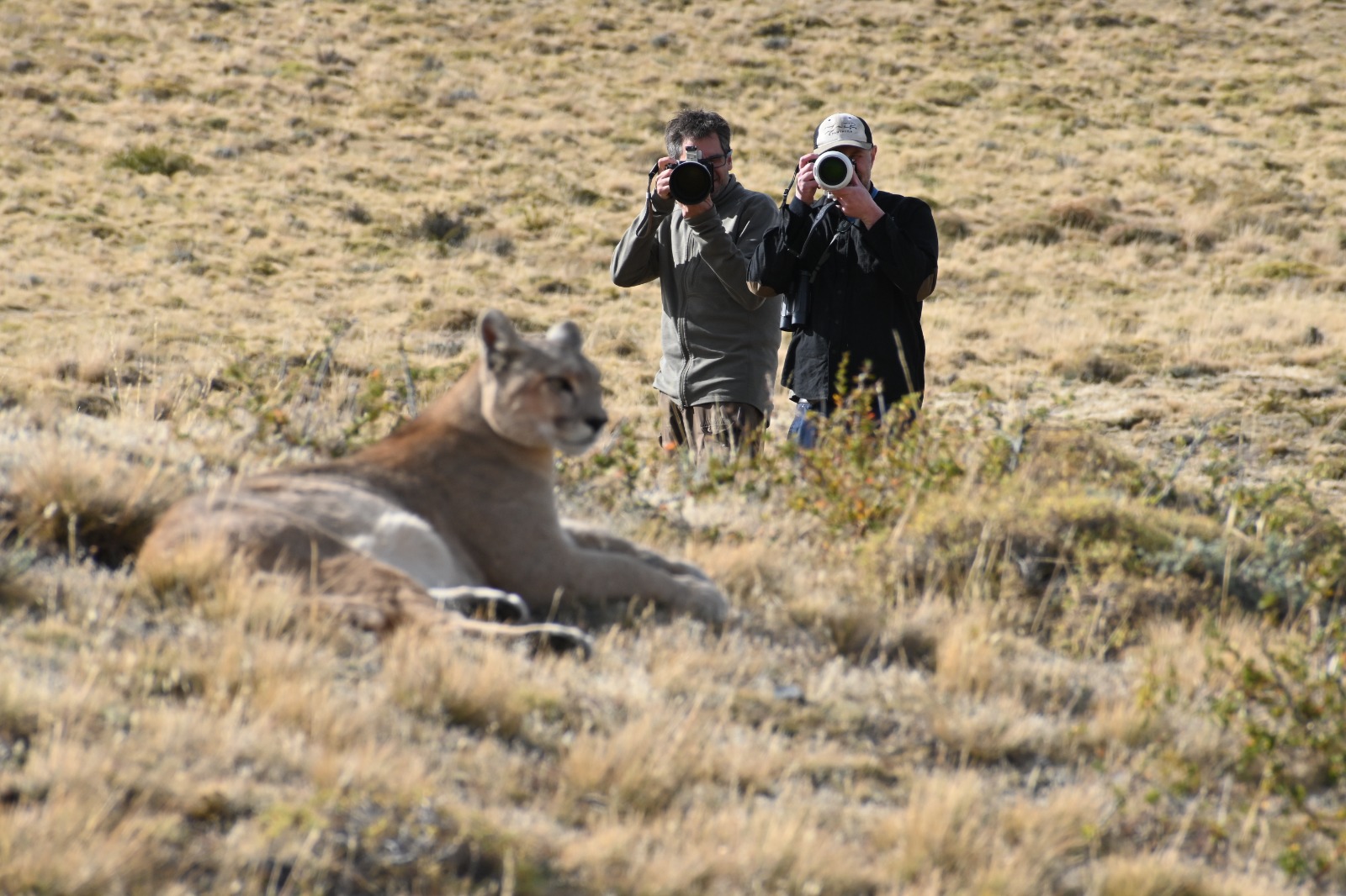 Ecotourism in Patagonia, Chile