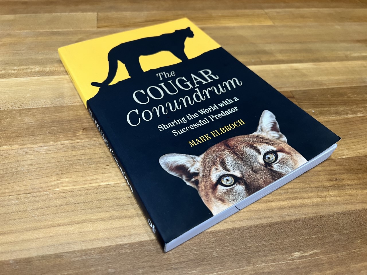 The Cougar Conundrum