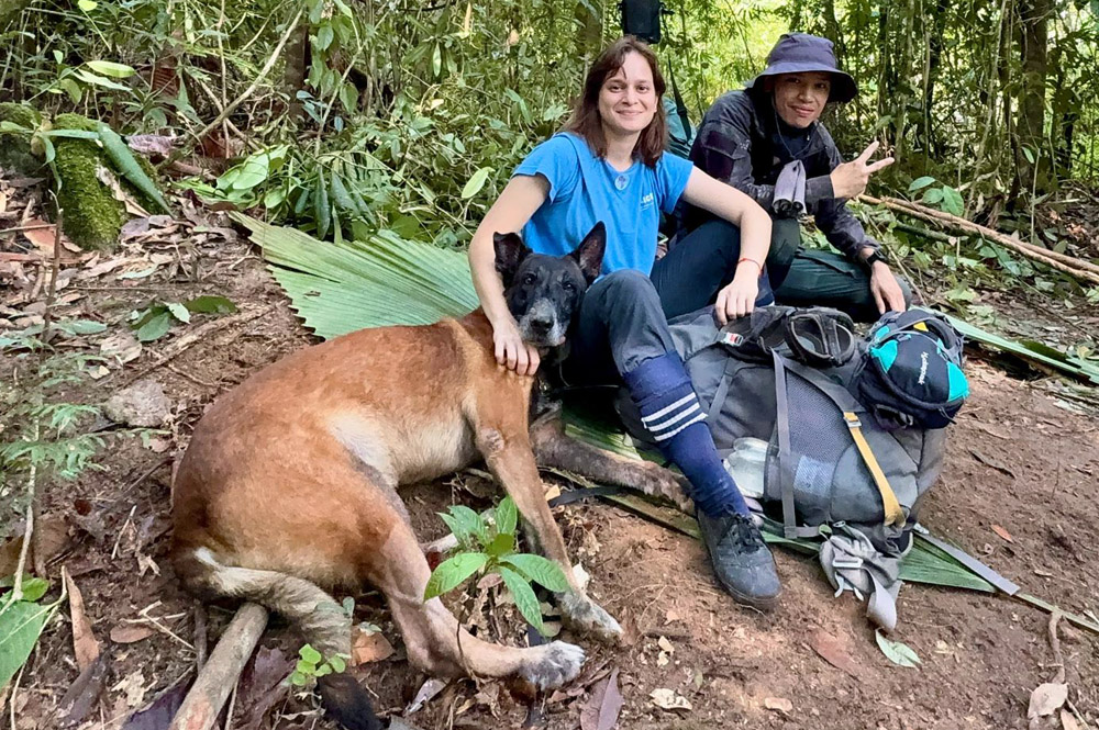 Phiri and Kenyir Landscape, Terengganu