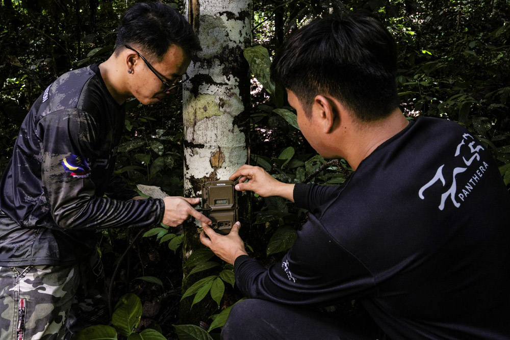 Biologists setting up camera trap