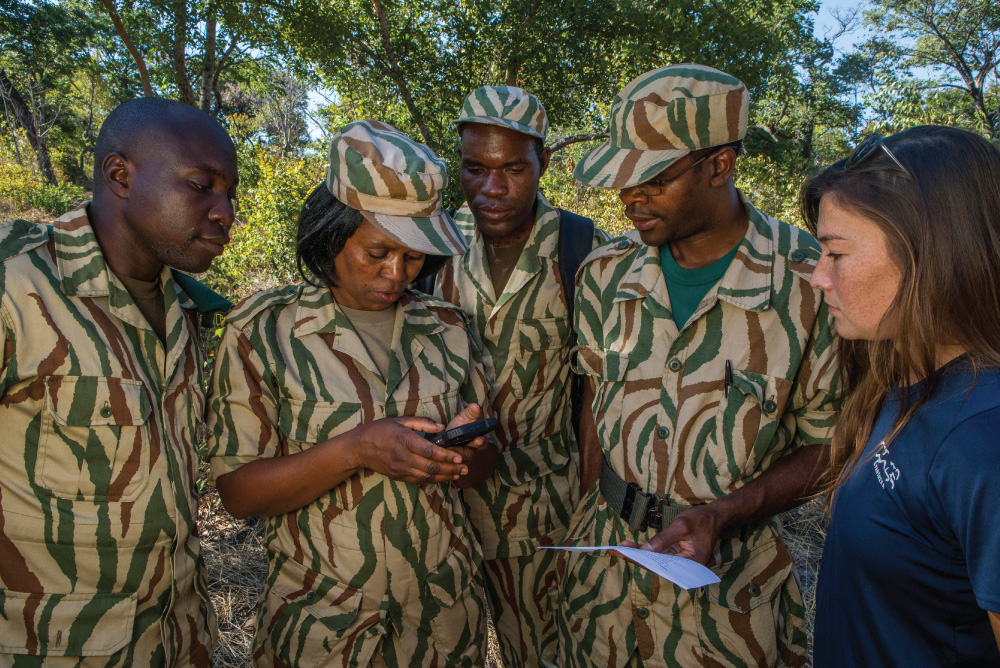 African Lion biologists, Xia Stevens and Milan Vinks, looking at images to identify lioness