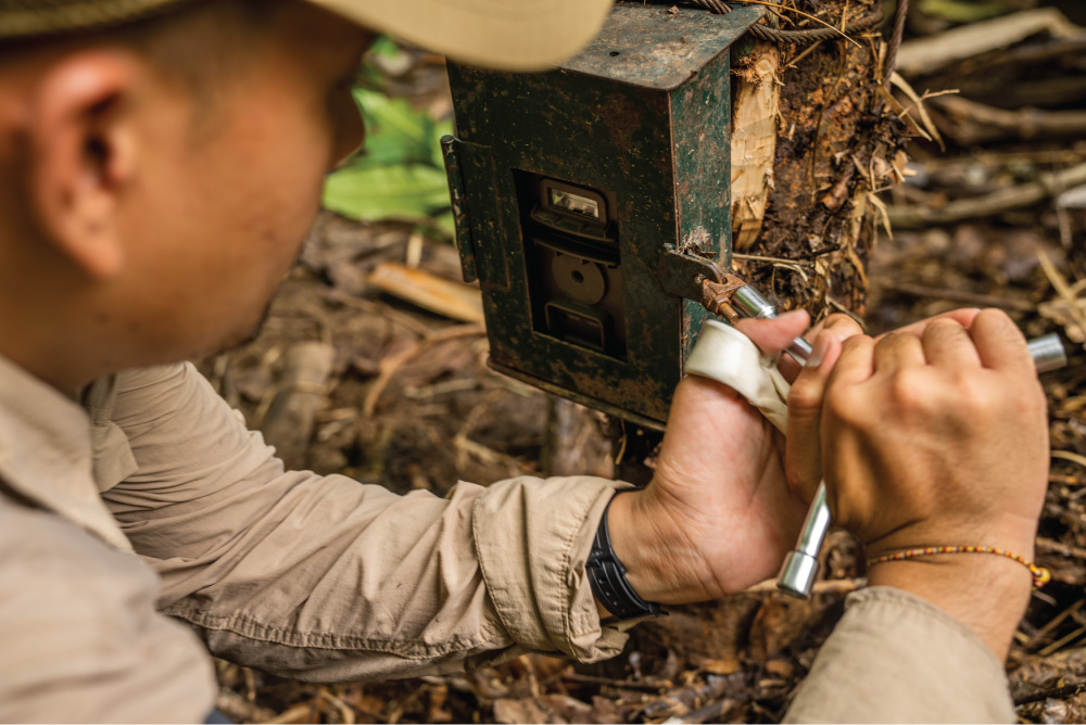 Tambling Ranger Training