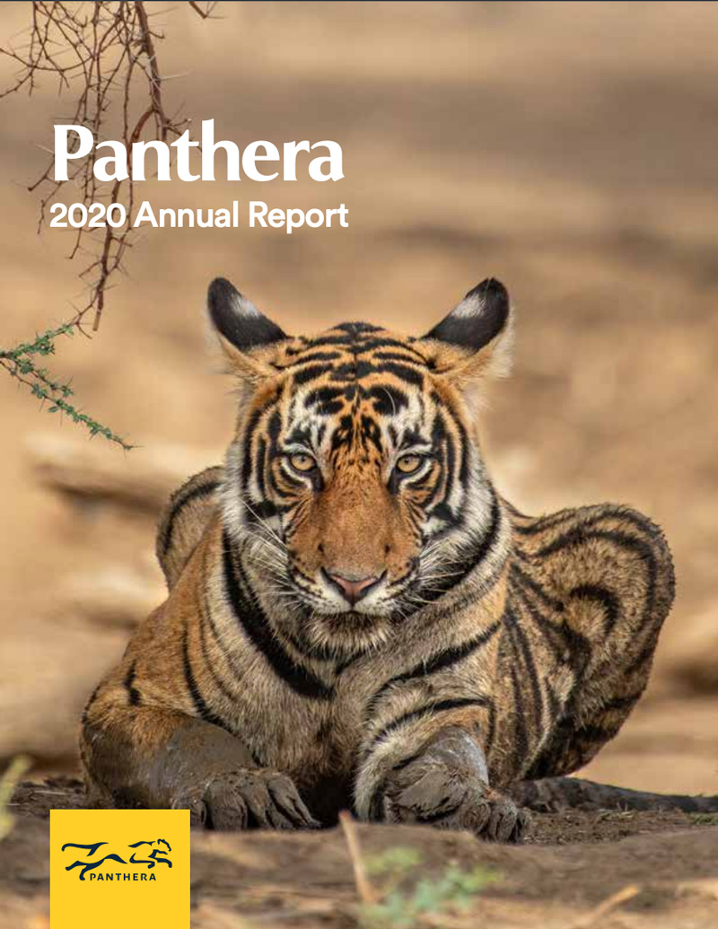 Read our latest Annual Report