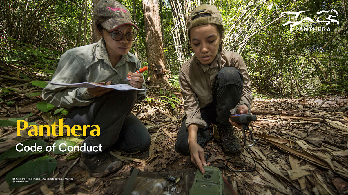 Preview of Panthera's Code of Conduct PDF