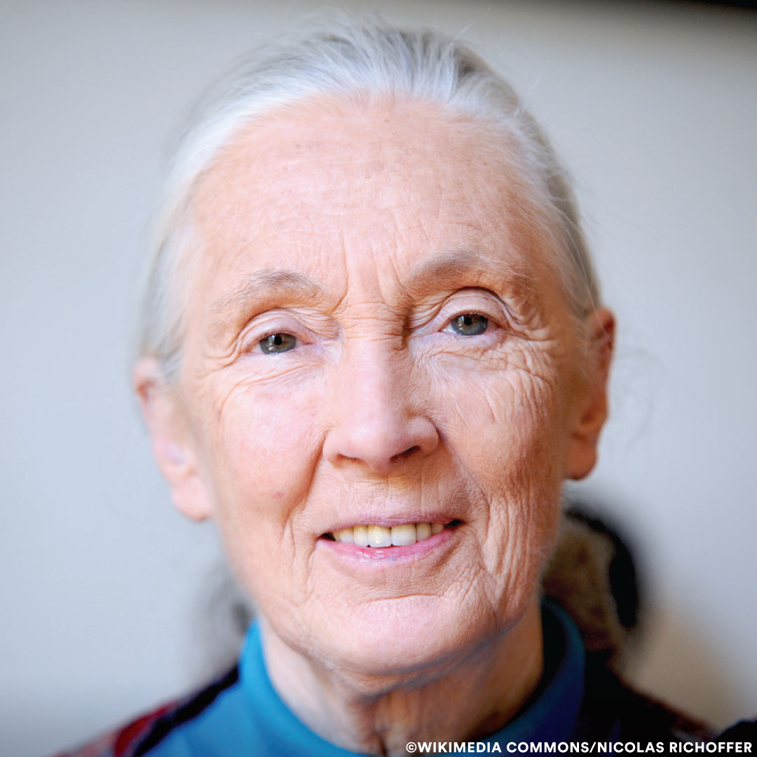 Jane Goodall