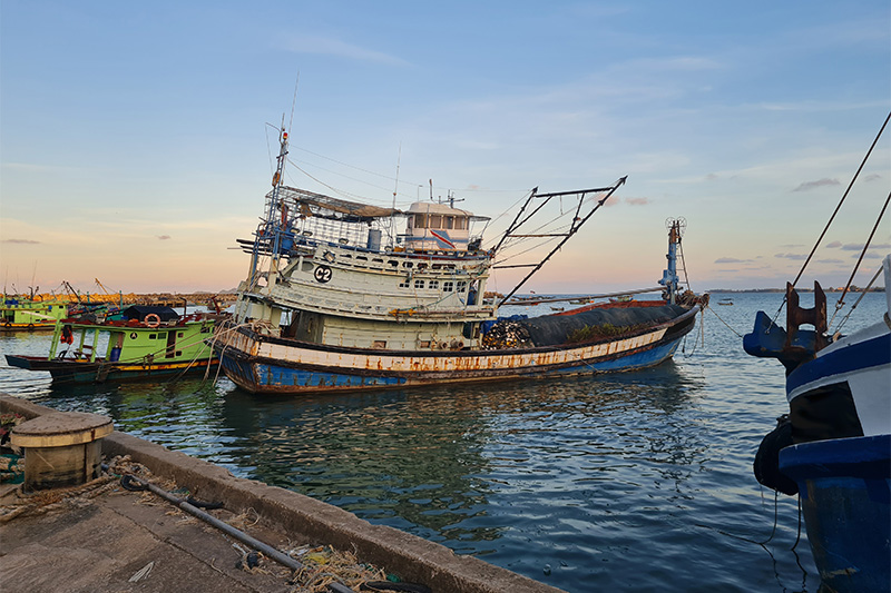 Fishing vessels with Vietnamese owners illegally registered to a Malaysian company. 