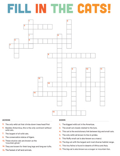 Wild Cats Crossword