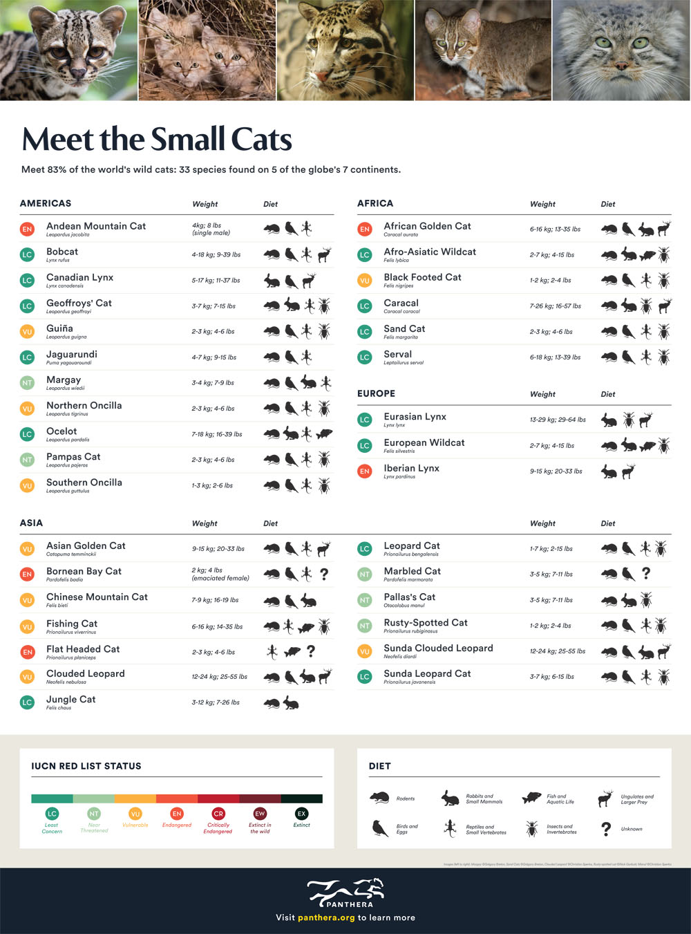 Small Cats Fact Sheet Cover