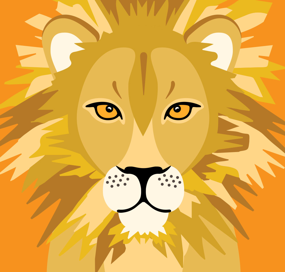 Lion illustration