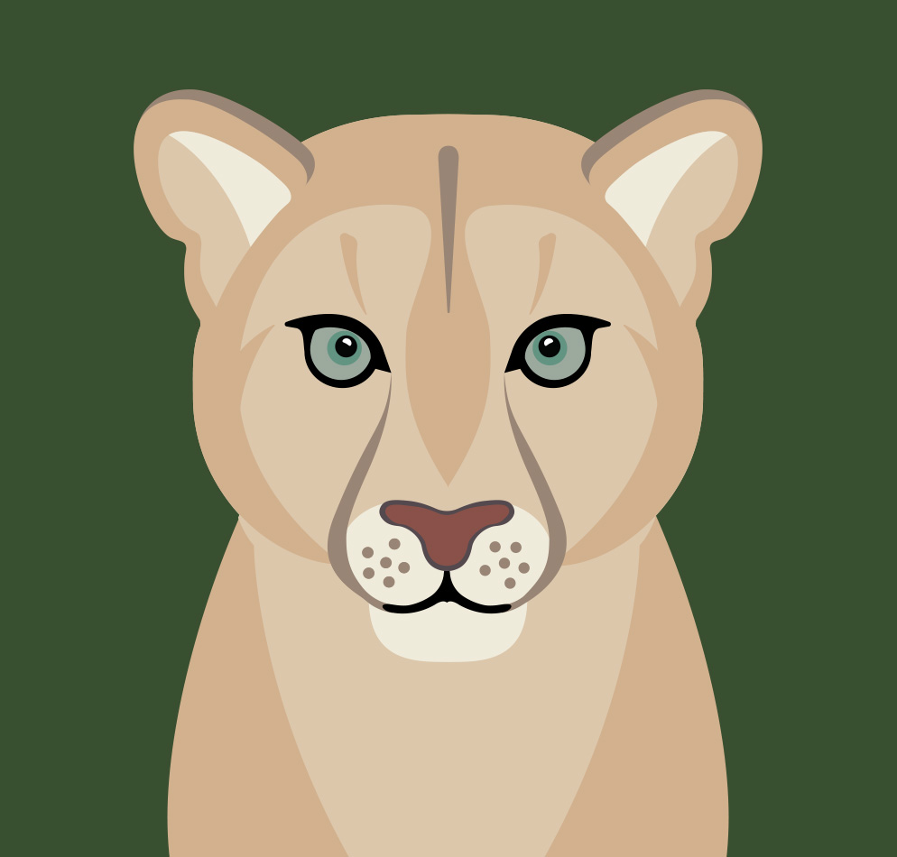 Puma illustration