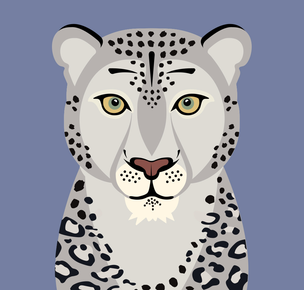 Snow Leopard illustration