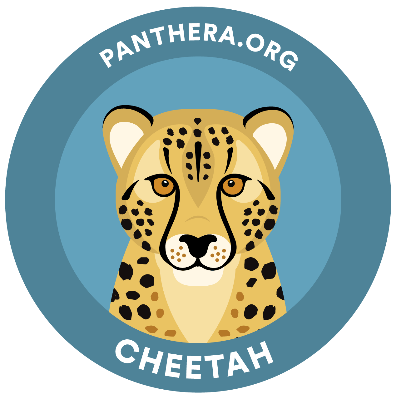 Animated Cheetah Sticker