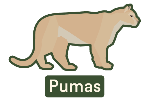 Puma Sticker