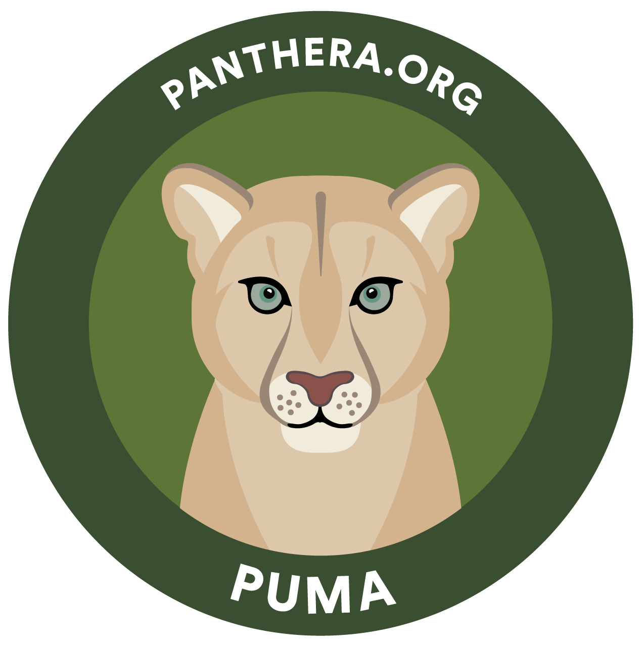 Animated Puma Sticker